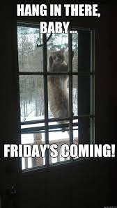 Hang In There Baby Friday S Coming Misc Quickmeme