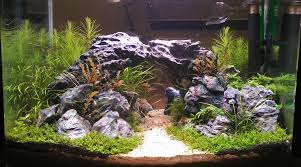Red lava rock (stone) is very popular with aquascapers and the red lava stone is lava stone will make any tank and aquascape pop! How To Create And Manage Slopes In An Aquascape The 2hr Aquarist