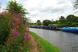 See more ideas about blackburn, liverpool, leeds. Walking The Canal Wigan To Blackburn That S How The Light Gets In