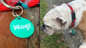 Now your pet can boldly go where no pet has gone before with these trek monogram pet id tags. Wag Tag Review Can This 10 Tag Keep Your Dog Safe Reviewed Smart Home