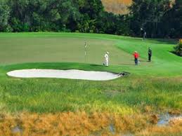 Maybe you would like to learn more about one of these? Forest Park Golf Course Photos Facebook