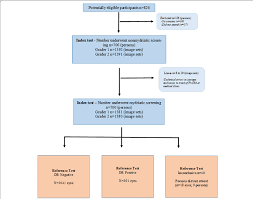 Flow Chart Of The Number Of Participants And Image Sets Used