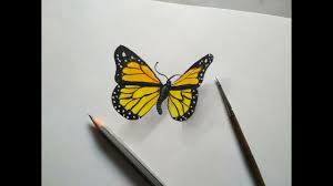 Check spelling or type a new query. How To Draw A 3d Butterfly Easy Learn Steps Youtube