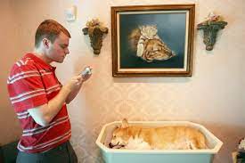 Insurance agency arizona, auto,condo,renters,home,health,dental,life, funeral, business commercial, group health, free quotes compare rates call or text : L A Unleashed Funerals For Pets A Growth Industry