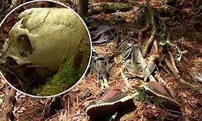 The Suicide Forest Of Japan Mystery Of The Mount Fuji Beauty Spot Where Up To 100 Bodies Are Found Every Year Daily Mail Online