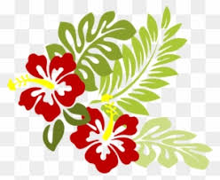 See more ideas about bunga raya. Hawaii Clipart Bunga Raya Hawaiian Flower Png Free Transparent Png Clipart Images Download