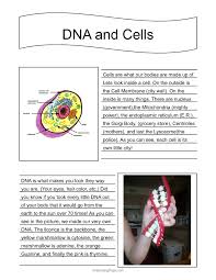 Notebooking With Apologia Anatomy And Physiology Apologia Anatomy Apologia Science Anatomy Anatomy And Physiology