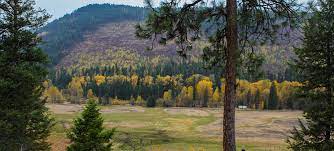 Rock Creek Bc Map Rock Creek | Boundary Country | Thompson Okanagan | Travel British Columbia