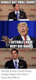 Donald Hassmall Hands Bio Mar Io Orubio Arcor Actually Have Very Big Hands Orubio Arcorubi O Mo Mar Rubi Donald Trump S Small Hands Image Gallery List View Know Your Meme