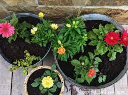 Save money grow your own cut flower assortment. Grow A Beautiful Colorful Cutting Flower Container Garden Simplify Live Love