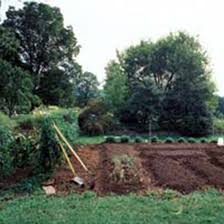 Can you use garden soil for grass. 8 Steps For Making Better Garden Soil Mother Earth News