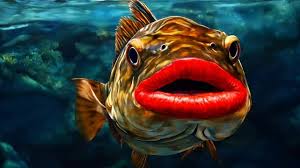 images?q=tbn:ANd9GcQEy9sS7znN3PN3ASWJlAg