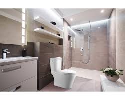 somerton smart dual flush (lever