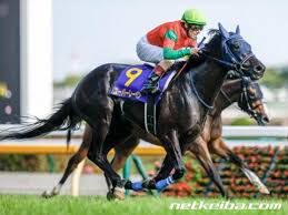 ユーバーレーベンとは 2018年1月27日生まれ、3歳の牝馬です。 父はゴールドシップ、母はマイネテレジアという血統です。 所属は手塚調教師（美浦）、生産者はビッグレッドファームです。 通算成績は6戦1勝、主戦騎手はデムーロ騎手です。 5b22qbstovpzkm