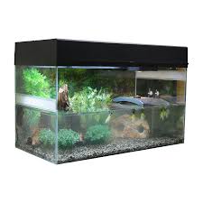 Lucky Reptile Starter Kit Turtle Ceres Webshop
