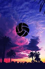 Siluet ilustrasi berjalan pria dan wanita, running silhouette jogging, running man, hewan, olahraga png. Volleyball Background Wallpaper 26 Latihan Voli Gambar Bola Voli Bola Voli