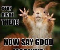 We did not find results for: Good Morning Memes Pictures Photos Images And Pics For Facebook Tumblr Pinterest And Twitter