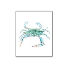 4.3 out of 5 stars. Amazon Com Blue Crab Art Print Blue Crab Wall Art Blue Crab Wall Decor Beach Art Coastal Watercolor Ocean Print Sea Life Painting Print Handmade