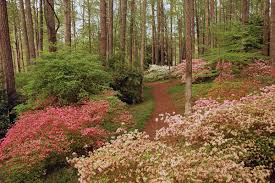Get reviews and contact details for each business including videos, opening hours and more. Callaway Gardens Visit Columbus Ga