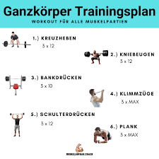 Du teilst das training deines gesamten körpers auf zwei trainingstage auf. Trainingsplan Fur Muskelaufbau Muskelaufbau Coach