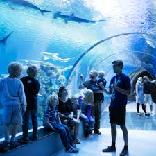 Hier finden sie auch mehrere möglichkeiten zum parken. Machbarkeitsstudie Zum Grossaquarium Im Zoo Aufsichtsrat Diskutiert Zoologischer Garten Magdeburgzoologischer Garten Magdeburg