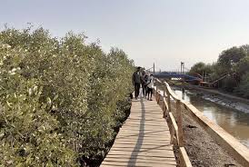 Adakah tajuk tersebut maksudkan hutang kerajaan persekutuan (hkp) atau hutang awam (public debt)/hutang luar negara hln(external 5. Pemkab Targetkan 600 Hutan Mangrove Di Pesisir Pantai