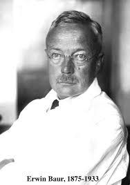 エルヴィン・バウアー