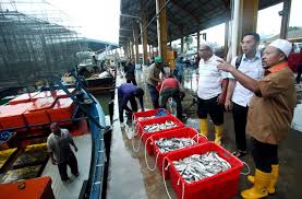 Vil du tilføje kompleks lembaga kemajuan ikan malaysia til dine favoritter, for at få hurtig adgang? Lokasi Jeti Lkim Bermasalah