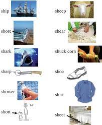 11 letter words that starts with sh and . Words Beginning With Sh Origin Of Alphabet