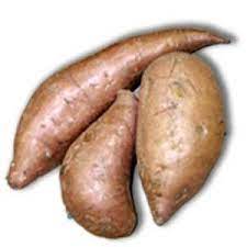 How long do unopened canned potatoes last? Sweet Potatoes How Long Do Sweet Potatoes Last Shelf Life Expire Raw Sweet Potato Potatoes Sweet Potato