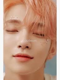 Joshua Fallin' Flower SEVENTEEN