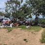 Siguen las protestas en Marsella por una comunidad indígena que fue trasladada desde Bogotá
