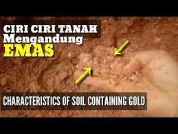 Sakit pinggang ini terjadi karena adanya batu pada. New Ciri Ciri Tanah Yang Mengandung Emas Dan Proses Pengambilannya