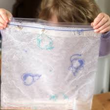 Carrots, like beets, have a hard seed coat. Observing Seed Germination In A Plastic Bag Inspiration Laboratories
