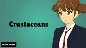How unique is the name crustacean? How To Pronounce Crustaceans Youtube