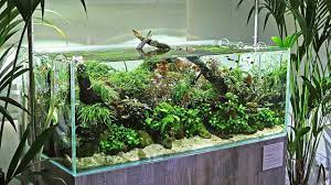 Pin By Adri On Aquarium Aquascape Aquascape Aquarium Nature Aquarium