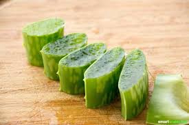 Aloe vera gehört zu den schnellwachsenden pflanzen. Hausmittel Fur Sanfte Gesichtsreinigung Und Zum Abschminken