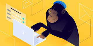 Can you embed a video in mailchimp? How To Use Mailchimp In 2021 Beginner S Guide
