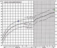 The Value Of Head Circumference Measurements After 36 Months