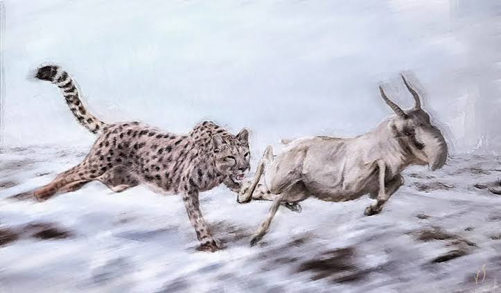 Ancient DNA rewrites the story of the extinct North America 'Cheetah'