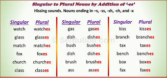 What is an irregular plural noun? Rules Of Singular And Plural Nouns With Examples Selftution