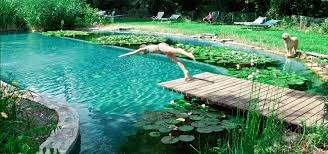 Treat your pool with the necessary chemicals. 9 Tips Tricks For Building Out Your Own Diy Natural Swimming Pool