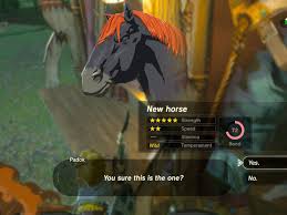 How To Get Max Hearts And Stamina At The Same Time In Zelda Breath Of The  Wild! - Youtube