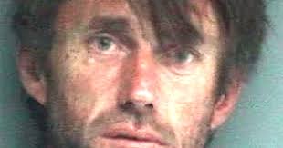 Pet cat's DNA helps convict owner who killed his friend after an argument