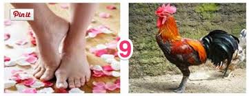 100 ucapan ulang tahun islami: Peribahasa Bergambar Melayu Latihan Peribahasa Jawapan