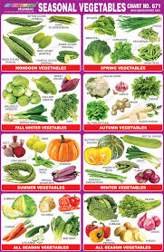 Name The Vegetables Summer Season