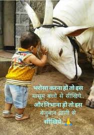 Pin By Raman Bhutani On Cute Animals Good Morning Quotes Good Morning Inspirational Quotes Inspirational Quotes With Images