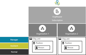 how to automatically build an org chart with data org