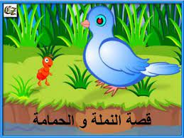تلخيص قصة الحمامة و النملة. Ù‚ØµØ© Ø§Ù„Ø­Ù…Ø§Ù…Ø© ÙˆØ§Ù„Ù†Ù…Ù„Ø© Ourboox