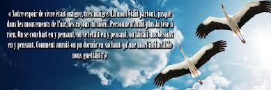Suivre la migration des cigognes jusqu'en afrique, afin de découvrir pourquoi nombre d'entre elles ont disparu. Le Parlement Des Cigognes De Valere Staraselski Sorbet Kiwi